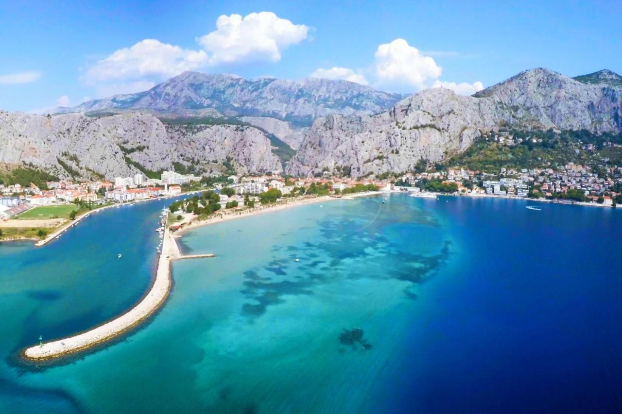 Seaside Kamelia